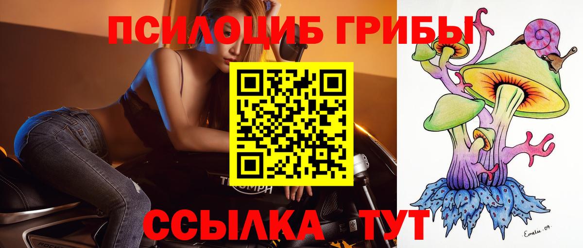 Псилоцибиновые грибы прущие грибы Ижевск