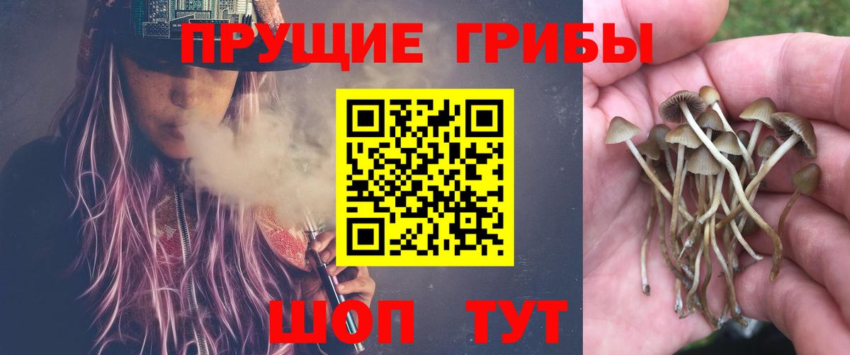 Ижевск  Галлюциногенные грибы MAGIC MUSHROOMS  Вход с VPN  Галлюциногенные грибы мицелий 